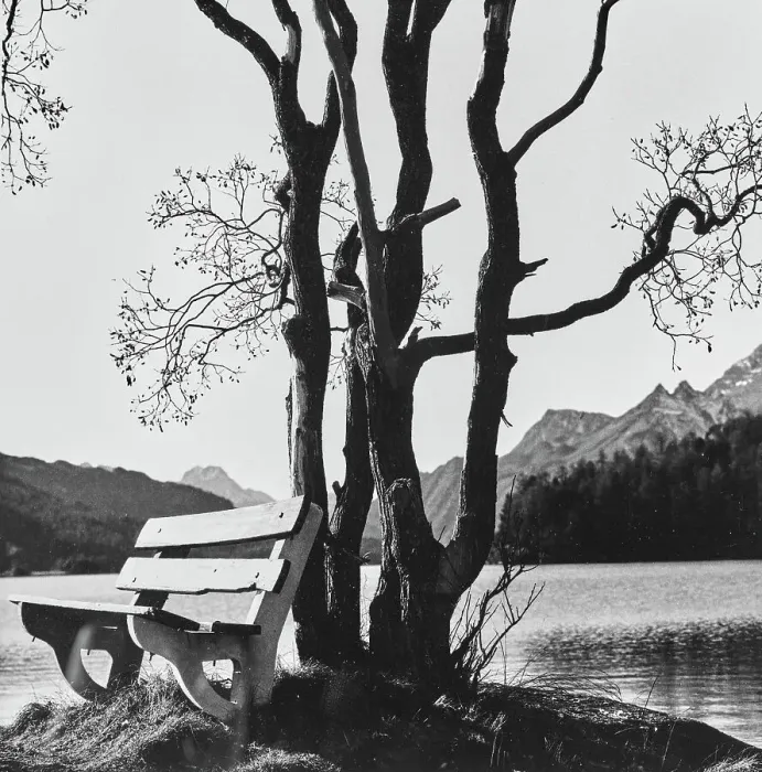Gerahmter Druck : Ein Sitzplatz am See bei Sonnenuntergang