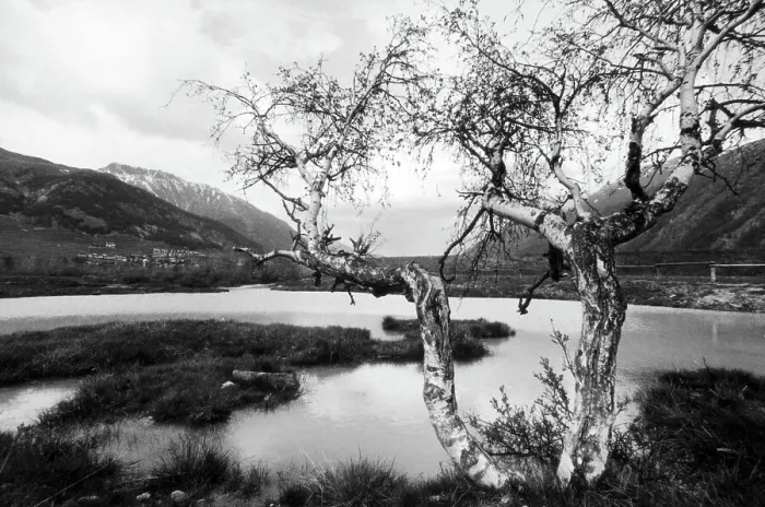 Gerahmter Druck : Blick auf den Lago di Montano