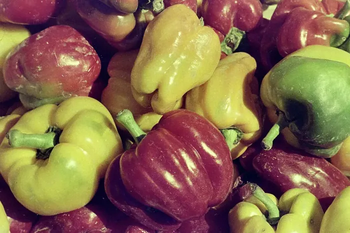 Gerahmter Druck : Peperoni in einer italienischen Bäckerei Gerahmter Druck : Peperoni in einer italienischen Bäckerei
