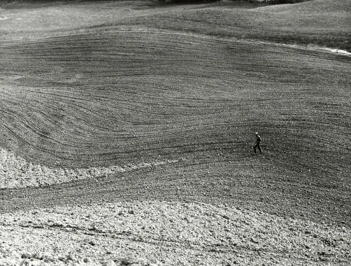 Gerahmter Druck : Die Terre Rosse in der Nähe von Siena Gerahmter Druck : Die Terre Rosse in der Nähe von Siena