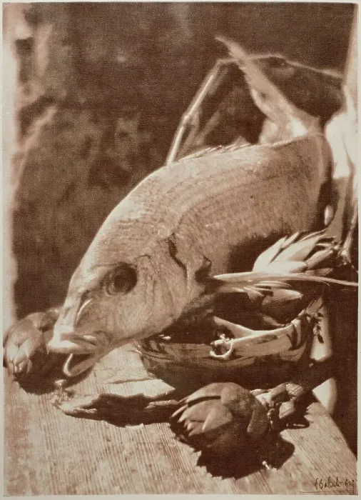 Gerahmter Druck : Fisch mit Artischocken Gerahmter Druck : Fisch mit Artischocken