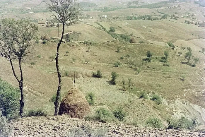 Gerahmter Druck : Toskanisches Landschaftsbild