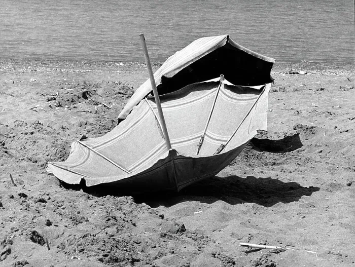Gerahmter Druck : Bäumchen auf der Strandpromenade