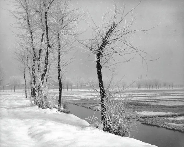 Gerahmter Druck : Winterlandschaft Gerahmter Druck : Winterlandschaft