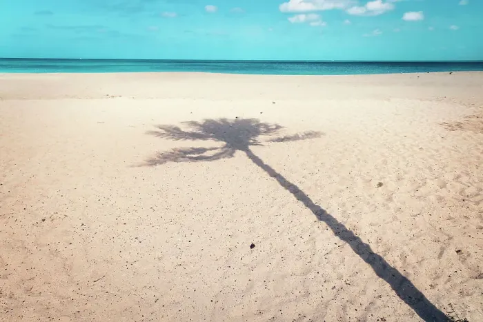 Gerahmter Druck : Aruba, Strand am Eagle Beach Gerahmter Druck : Aruba, Strand am Eagle Beach