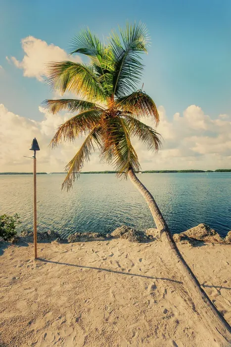 Gerahmter Druck : Florida, Islamorada Gerahmter Druck : Florida, Islamorada