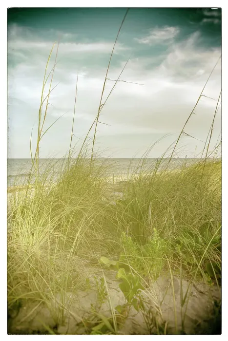 Gerahmter Druck : Sande Düne an der Strand Gerahmter Druck : Sande Düne an der Strand