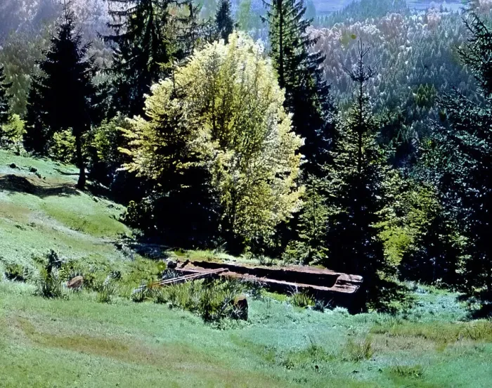 Gerahmter Druck : Schwarzwald