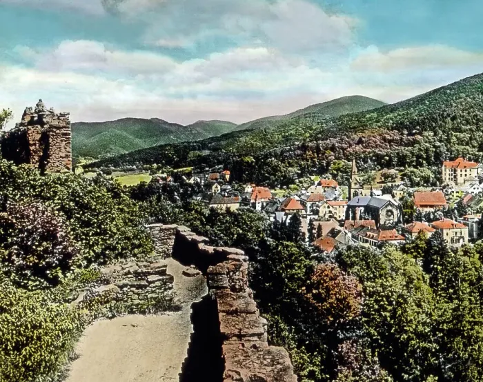 Gerahmter Druck : Schwarzwald Gerahmter Druck : Schwarzwald