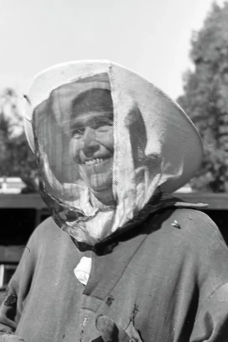 Gerahmter Druck : Bienengift Gerahmter Druck : Bienengift