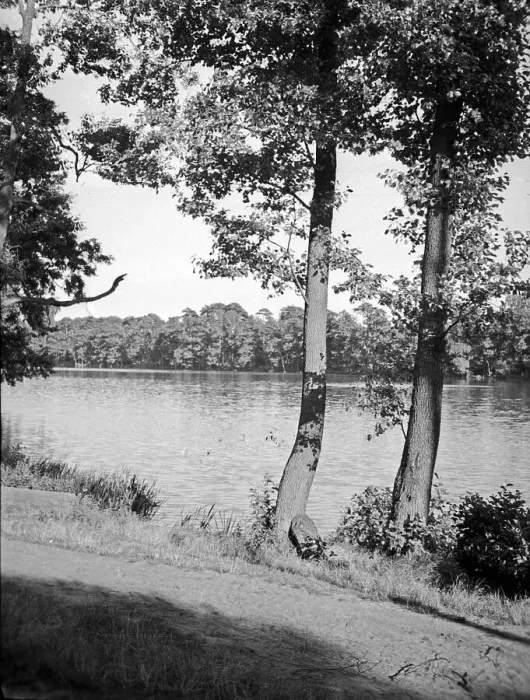 Gerahmter Druck : Danzig. Partei bei Danzig Heubude aus den 1930ern Blick auf die Parks von Gdansk-Heubude Gerahmter Druck : Danzig. Partei bei Danzig Heubude aus den 1930ern Blick auf die Parks von Gdansk-Heubude