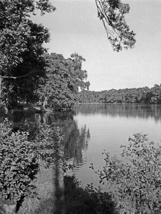 Gerahmter Druck : Danzig. Anlagen im Kurpark von Danziger Gletschkau, 1930er Jahren