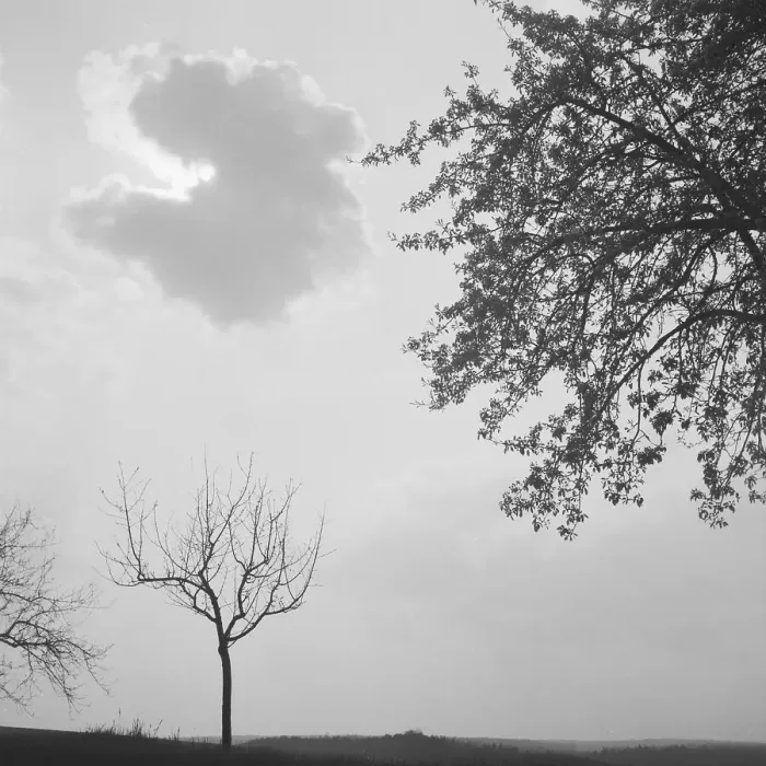 Gerahmter Druck : Landschaft