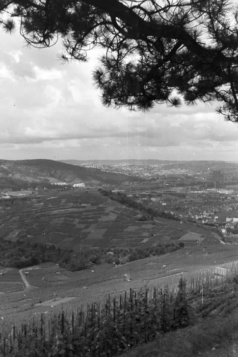 Gerahmter Druck : Stuttgart. Ein Blick auf die Stadt in den dreißiger Jahren des zwanzigsten Jahrhunderts Gerahmter Druck : Stuttgart. Ein Blick auf die Stadt in den dreißiger Jahren des zwanzigsten Jahrhunderts