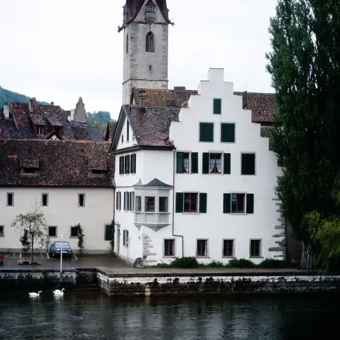 Gerahmter Druck : Bodensee. Schwäne vor dem ehemaligen Benediktinerkloster St Gerahmter Druck : Bodensee. Schwäne vor dem ehemaligen Benediktinerkloster St