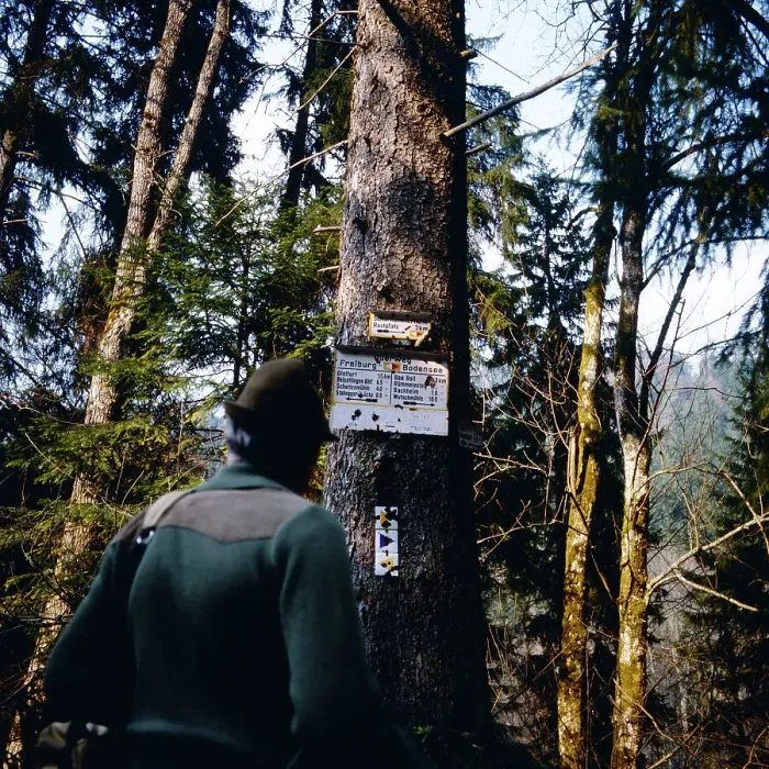 Gerahmter Druck : Schwarzwald Gerahmter Druck : Schwarzwald