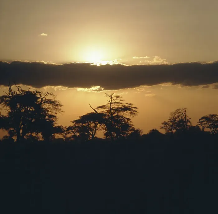 Gerahmter Druck : Ceylon. Sonnenschein über Ceylon am Abend Gerahmter Druck : Ceylon. Sonnenschein über Ceylon am Abend