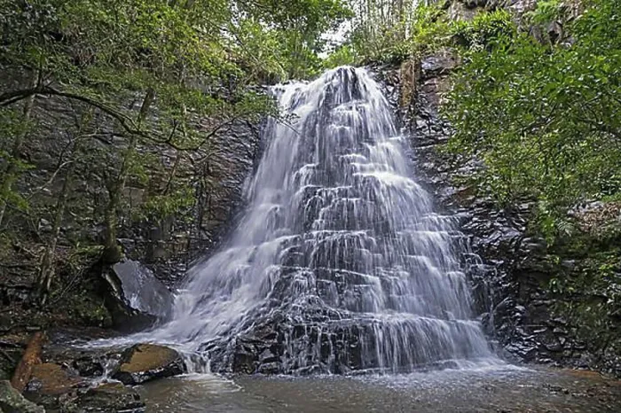 Gerahmter Druck : 39 Stufen Wasserfall, Wasserfall in Hogsback Gerahmter Druck : 39 Stufen Wasserfall, Wasserfall in Hogsback