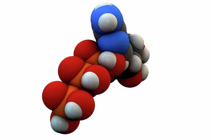 Gerahmter Druck : Adenosintriphosphat (ATP)-Molekül Gerahmter Druck : Adenosintriphosphat (ATP)-Molekül