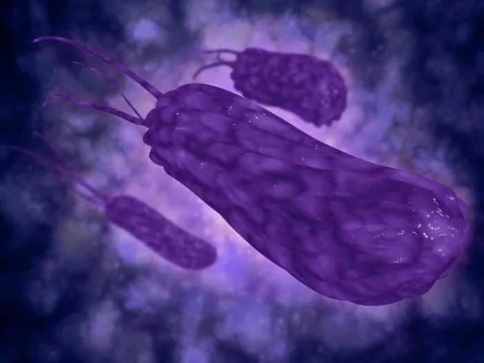 Gerahmter Druck : Konzeptionelle Bild des Helicobacter. Gerahmter Druck : Konzeptionelle Bild des Helicobacter.