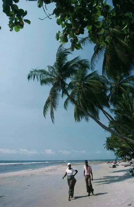 Gerahmter Druck : Gabun, Landschaft, Kap Esteries. Mann und Frau gehen entlang einer sandigen Strandlinie mit überhängenden Palmenbäumen. Gerahmter Druck : Gabun, Landschaft, Kap Esteries. Mann und Frau gehen entlang einer sandigen Strandlinie mit überhängenden Palmenbäumen.