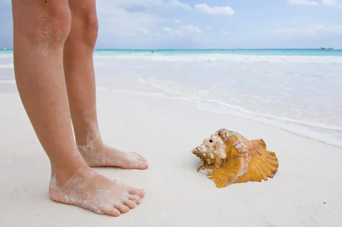 Gerahmter Druck : Beine und Conch-Shell wurden auf Tulum Beach, Quintana Roo, Mexiko angespült. Gerahmter Druck : Beine und Conch-Shell wurden auf Tulum Beach, Quintana Roo, Mexiko angespült.