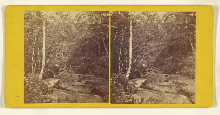 Gerahmter Druck : Unterhalb der Lower Cascade. Weißer Berg. John B. Heywood (Amerikanisch, aktiv Boston, Massachusetts 1850er - 1860er) Gerahmter Druck : Unterhalb der Lower Cascade. Weißer Berg. John B. Heywood (Amerikanisch, aktiv Boston, Massachusetts 1850er - 1860er)