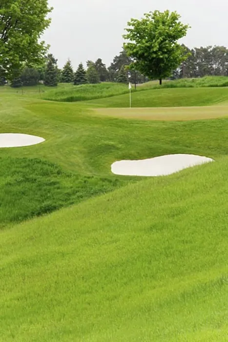 Gerahmter Druck : Übersicht des Golfplatzes Gerahmter Druck : Übersicht des Golfplatzes