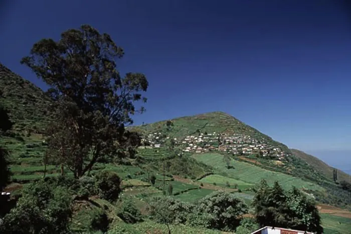 Gerahmter Druck : Panoramablick auf eine wellige Landschaft, Kalhatty-Hänge, Distrikt Nilgiris, Tamil Nadu, Indien. Gerahmter Druck : Panoramablick auf eine wellige Landschaft, Kalhatty-Hänge, Distrikt Nilgiris, Tamil Nadu, Indien.