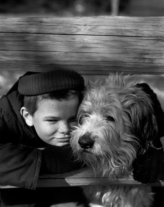 Gerahmter Druck : Porträt eines Jungen mit Hund.