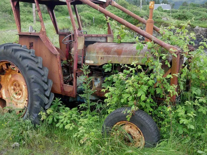 Gerahmter Druck : Verrosteter, verlassener Fordson-Traktor, überwachsen mit Dornen, Isle of Mull, Inner Hebriden, Schottland, Juli. Gerahmter Druck : Verrosteter, verlassener Fordson-Traktor, überwachsen mit Dornen, Isle of Mull, Inner Hebriden, Schottland, Juli.