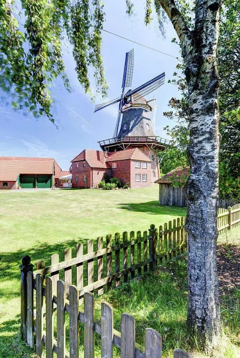 Gerahmter Druck : Schleifmühle, Windmühle, Westerscheps, Westerstede, Denkmal, Niedersachsen, Deutschland Gerahmter Druck : Schleifmühle, Windmühle, Westerscheps, Westerstede, Denkmal, Niedersachsen, Deutschland