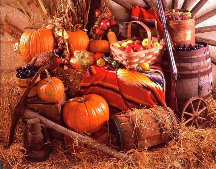 Gerahmter Druck : Thanksgiving