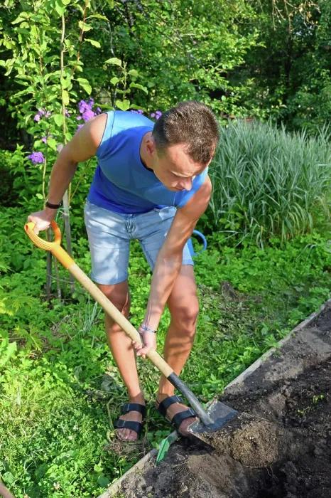 Gerahmter Druck : Ein junger Mann grubt einen Blumenbeet auf einem Grundstück. Gerahmter Druck : Ein junger Mann grubt einen Blumenbeet auf einem Grundstück.