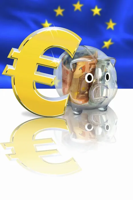 Gerahmter Druck : Euro-Münze 46 Cent Gerahmter Druck : Euro-Münze 46 Cent