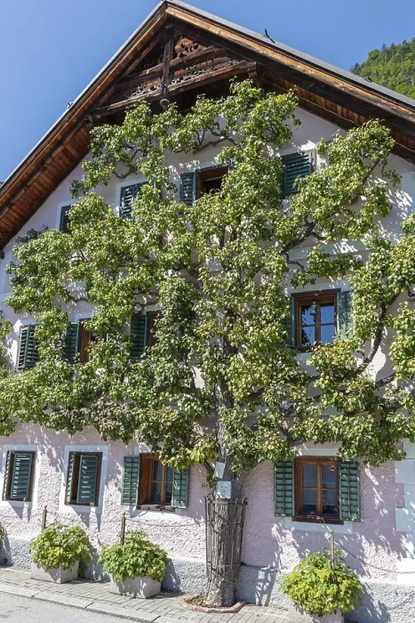 Gerahmter Druck : A, Hallstatt Gerahmter Druck : A, Hallstatt