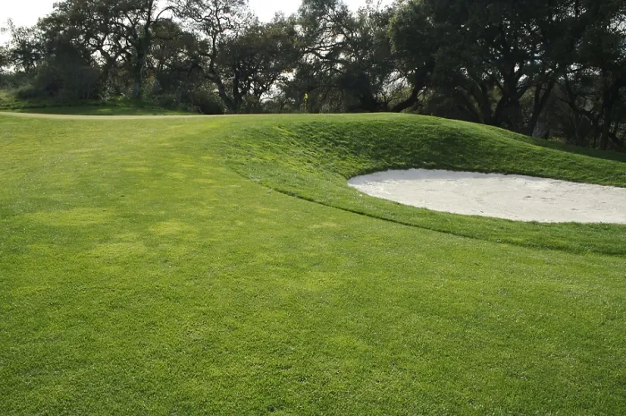 Gerahmter Druck : Abstract eines Golfplatz-Grüns auf einem Frühlingstag. Gerahmter Druck : Abstract eines Golfplatz-Grüns auf einem Frühlingstag.
