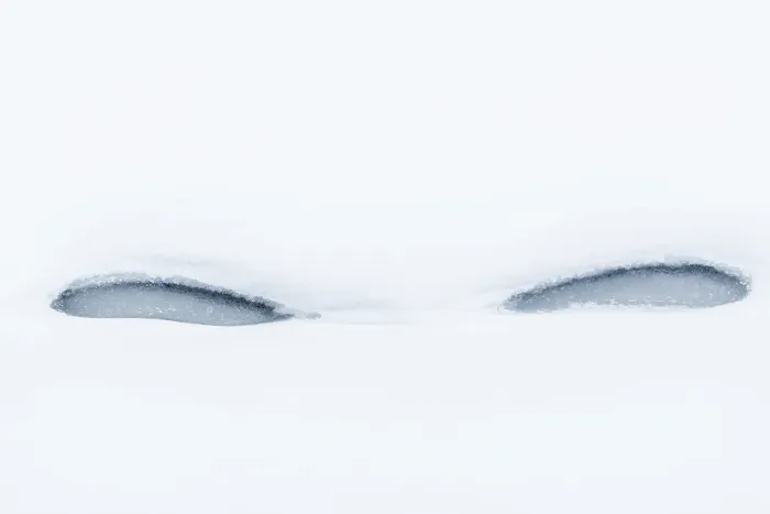Gerahmter Druck : Abstrakte Eismorphologien im Schnee. Gerahmter Druck : Abstrakte Eismorphologien im Schnee.