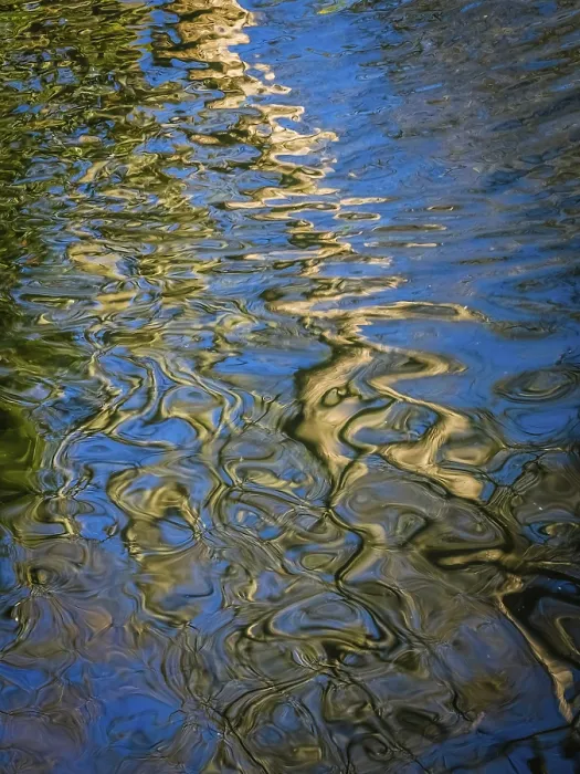 Gerahmter Druck : Abstrakte Spiegelung eines Baumes im Teich in einem Park. Gerahmter Druck : Abstrakte Spiegelung eines Baumes im Teich in einem Park.