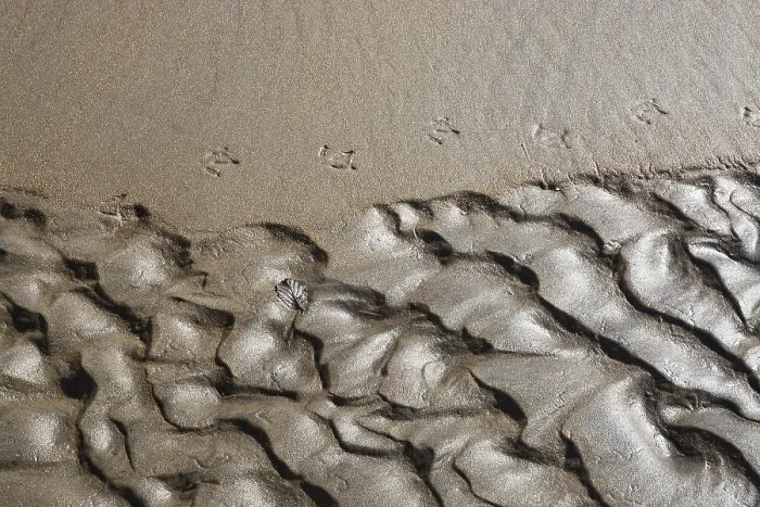 Gerahmter Druck : Abstrakte Sandmuster-Hintergrund. Gerahmter Druck : Abstrakte Sandmuster-Hintergrund.