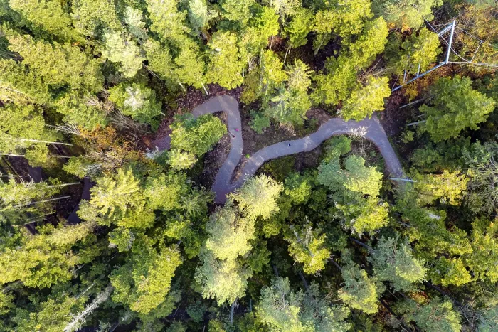 Gerahmter Druck : Luftaufnahme eines Waldweges von oben. Gerahmter Druck : Luftaufnahme eines Waldweges von oben.