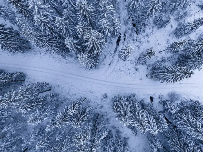 Gerahmter Druck : Luftaufnahme eines Waldwegs im Schnee. Gerahmter Druck : Luftaufnahme eines Waldwegs im Schnee.