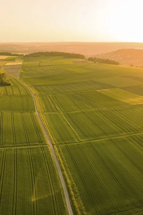 Gerahmter Druck : Luftaufnahme von weiten Feldern, die im Abendlicht glühen. Gerahmter Druck : Luftaufnahme von weiten Feldern, die im Abendlicht glühen.