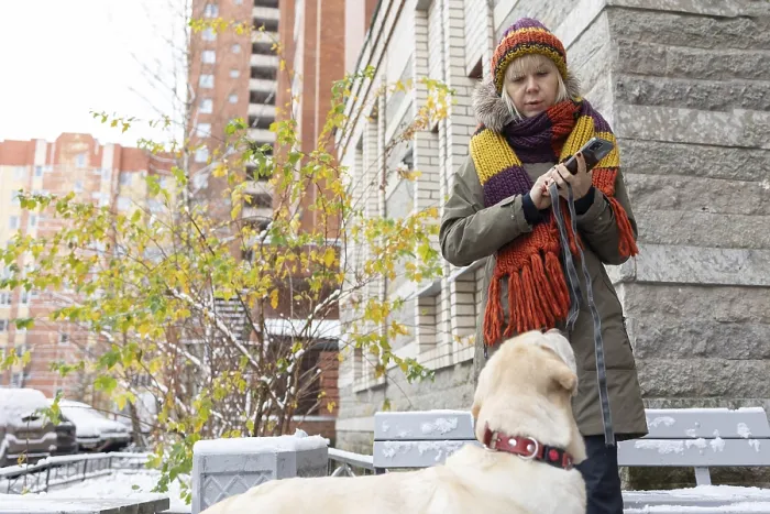 Gerahmter Druck : Affektionsmoment. Außenwinterlandschaft, wo eine Frau einen zarten Moment mit ihrem Haustier Hund teilt, umgeben von Schnee und nackten Bäumen.
