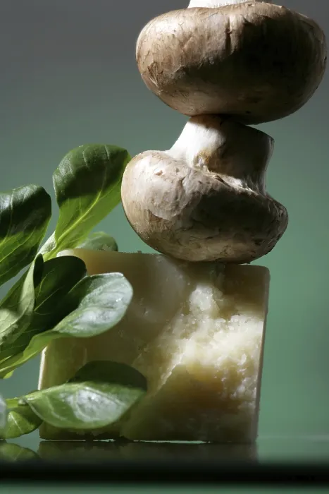 Gerahmter Druck : Agaricus mit Parmesan und Mais-Salat Gerahmter Druck : Agaricus mit Parmesan und Mais-Salat
