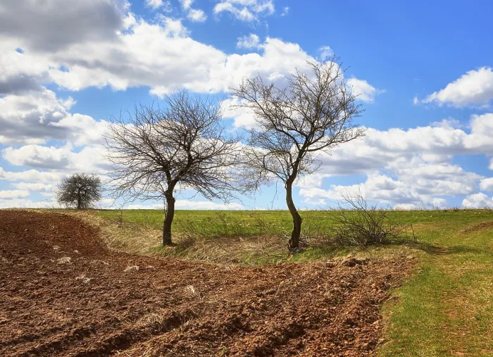 Gerahmter Druck : Agriculture Gerahmter Druck : Agriculture