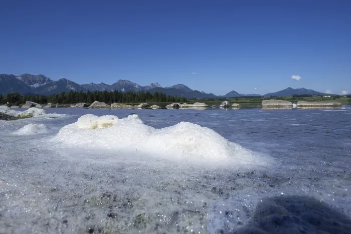 Gerahmter Druck : Algen-Schaum am Strand, Hopfensee. Gerahmter Druck : Algen-Schaum am Strand, Hopfensee.