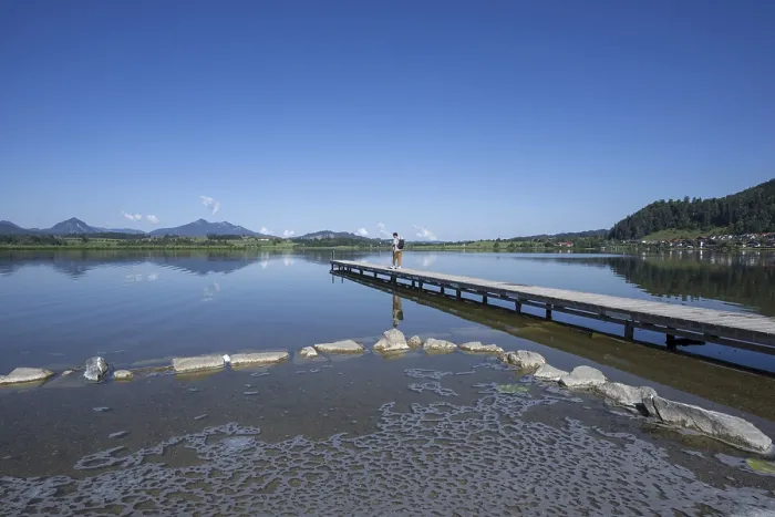 Gerahmter Druck : Algen Schaum am Strand, Hopfensee. Gerahmter Druck : Algen Schaum am Strand, Hopfensee.