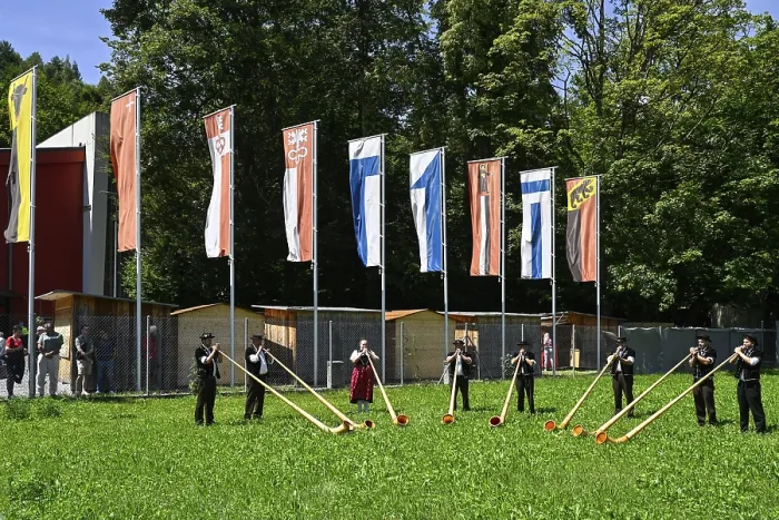 Gerahmter Druck : Alphorner und Kantonsfahnen Gerahmter Druck : Alphorner und Kantonsfahnen