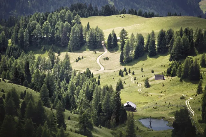 Gerahmter Druck : Alpiner grüner Tal in der Frühlingszeit. Gerahmter Druck : Alpiner grüner Tal in der Frühlingszeit.